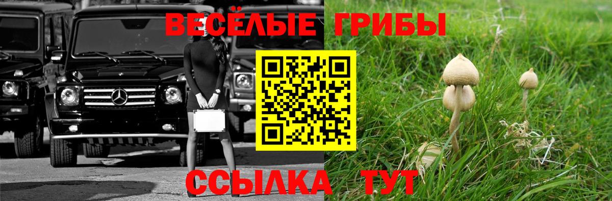 Дивногорск  Псилоцибиновые грибы Psilocybine cubensis  Вход с VPN  Галлюциногенные грибы Cubensis 